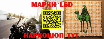ешки Сланцы