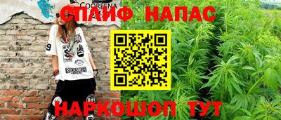ешки Сланцы