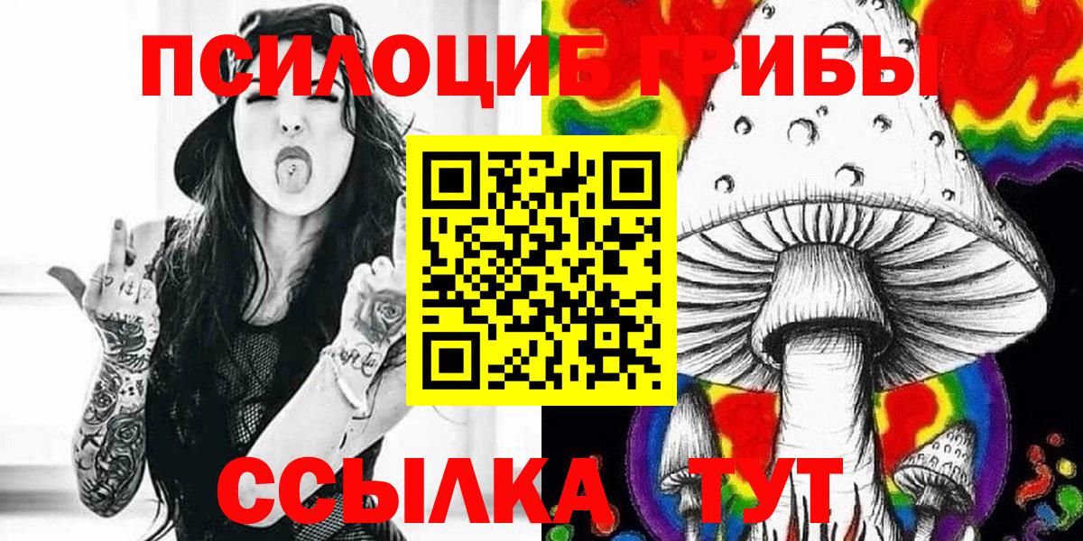 Галлюциногенные грибы Psilocybine cubensis Богородск